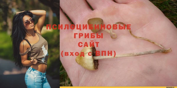 стаф Балахна