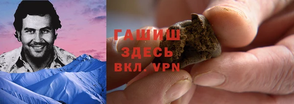 стаф Балахна
