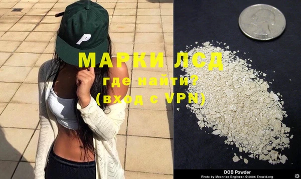 стаф Балахна