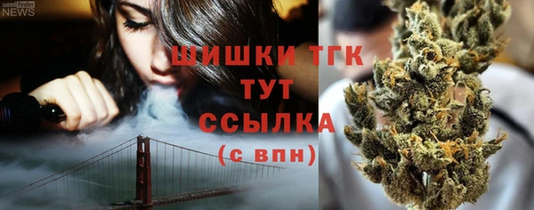 стаф Балахна