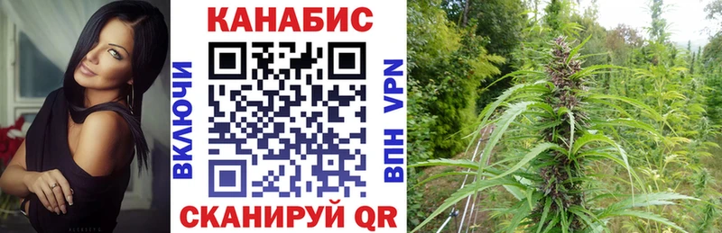 Купить где  Ступино  Бошки Шишки марихуана 